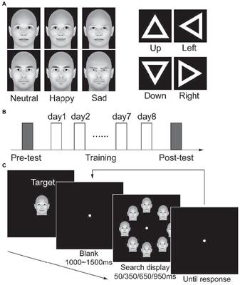 Effect of facial emotion recognition learning transfers across emotions